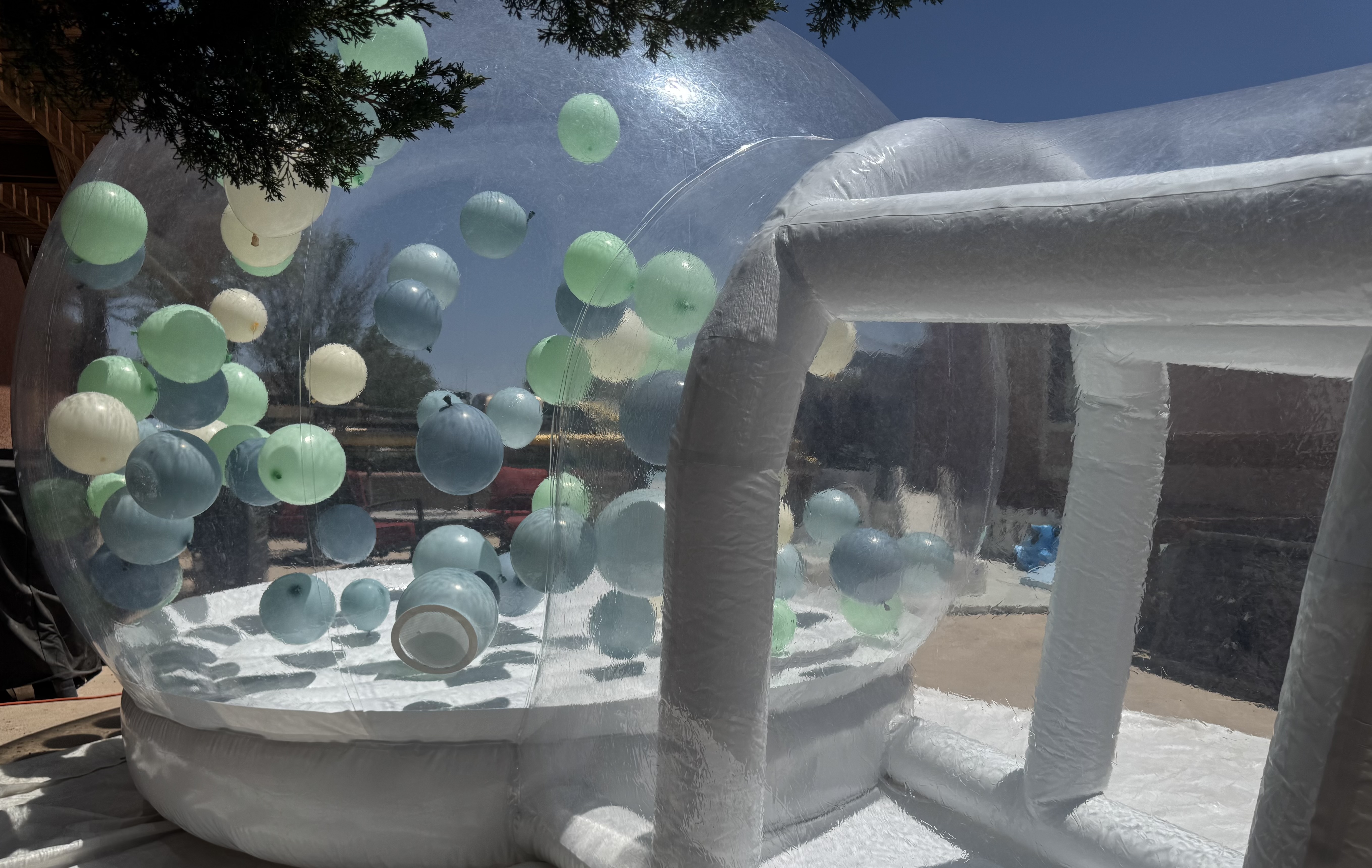 The Bubble Houzz